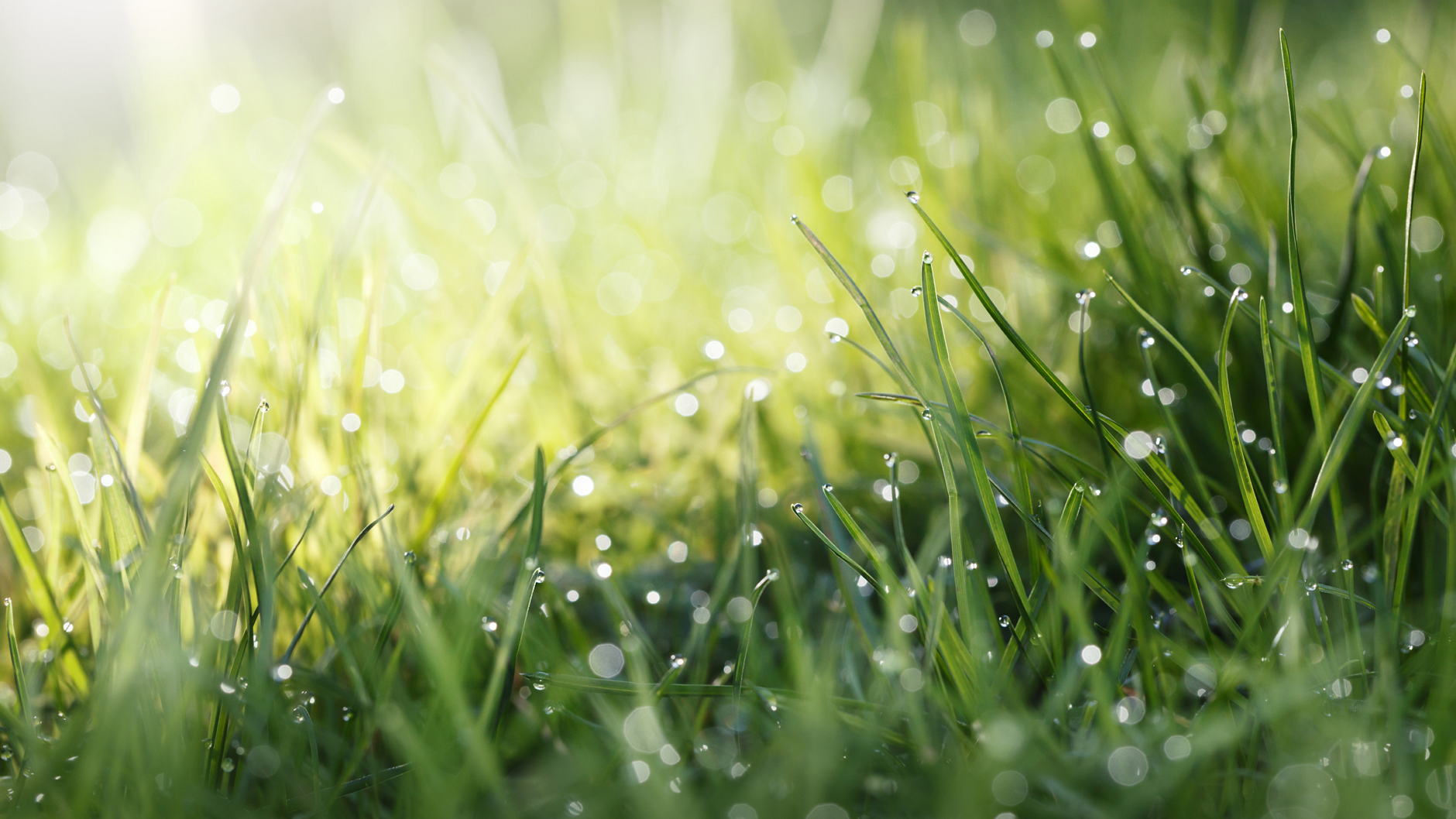 Beiersdorf e o Planeta